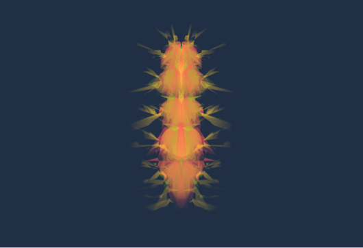 Bright orange caterpillar