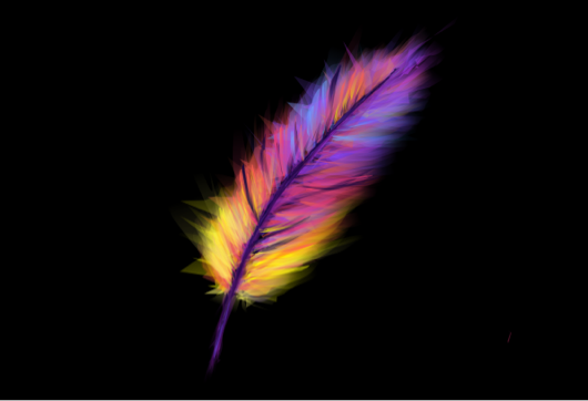 Bright colorful feather