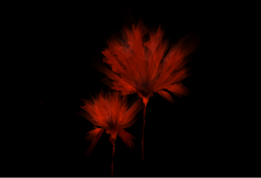 Abstract red poppies on dark background